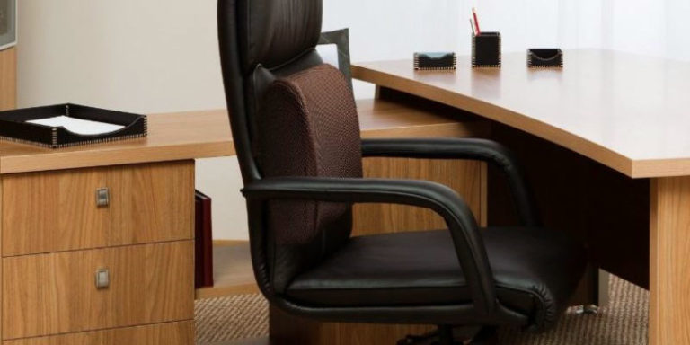6 Best Back Support For Office Chairs - (Reviews & Buying Guide 2021)